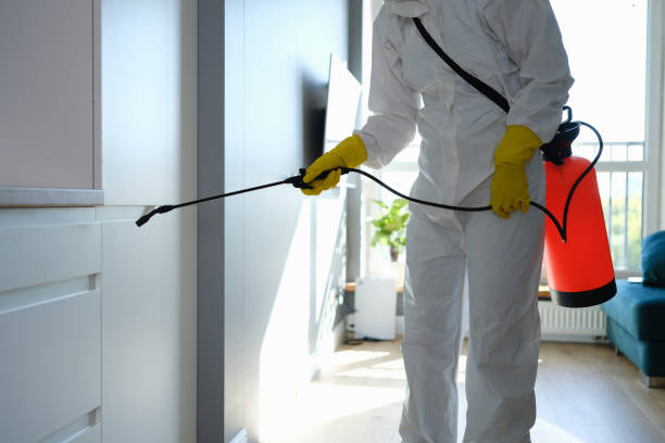 Certified Mold Removal in Newcastle, OK