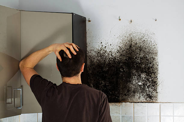 Mold Removal and Inspection in Newcastle, OK